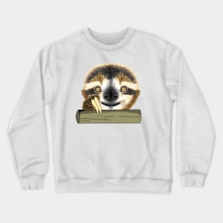 Cute two-toed sloths with smile face classic Crewneck Sweatshirt